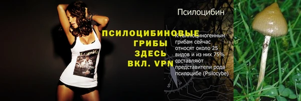 spice Лагань