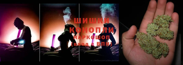 spice Лагань