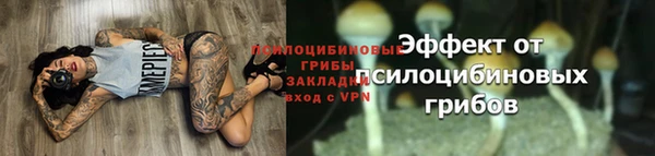 круглые Ладушкин