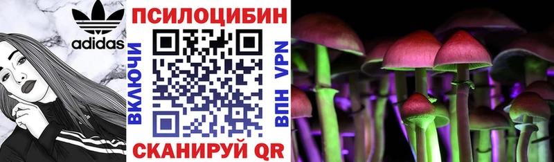 Псилоцибиновые грибы MAGIC MUSHROOMS  Купить где  Белогорск 